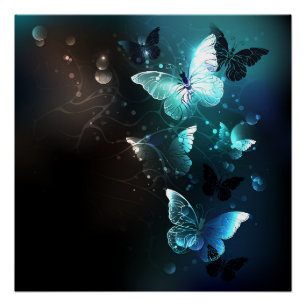 Póster Mariposas nocturnas de menta