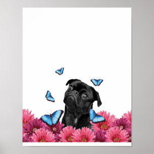 Póster Mariposas Pug Gerbera   Perro negro lindo