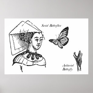 Póster Mariposas sociales