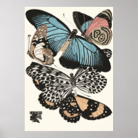 Mariposas Vintage E.A. Séguy