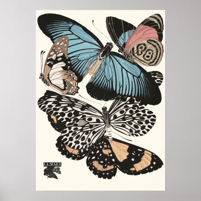 Póster Mariposas Vintage E.A. Séguy (Frente)