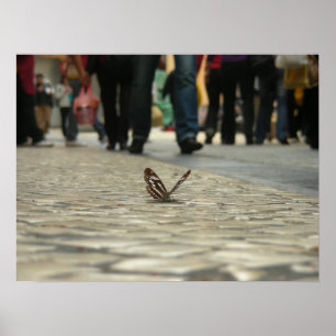Póster Mariposas y caminos adoquinados