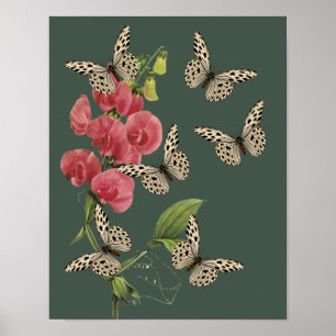 Póster Mariposas Y Flor De Pea Dulce
