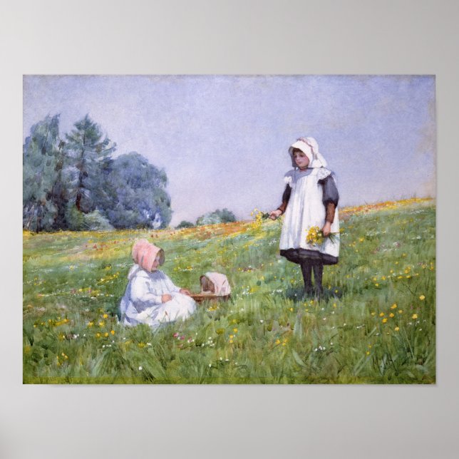 Póster Mariposas y margaritas (Frente)