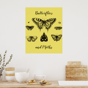 Póster Mariposas y Polillas Estampa Vintage