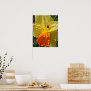 Póster Mariquita en Flor Floral Amarilla Narciso