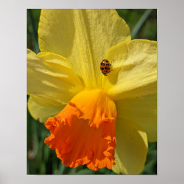 Póster Mariquita en Flor Floral Amarilla Narciso