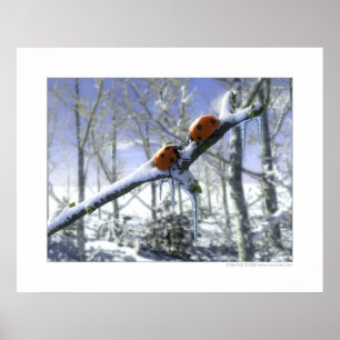 Póster Mariquitas del navidad