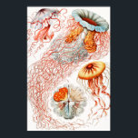 Póster Marisco, Discomedusae de Ernst Haeckel<br><div class="desc">Jellyfish,  Discomedusae Scheibenquallen,  por Ernst Haeckel Poster</div>