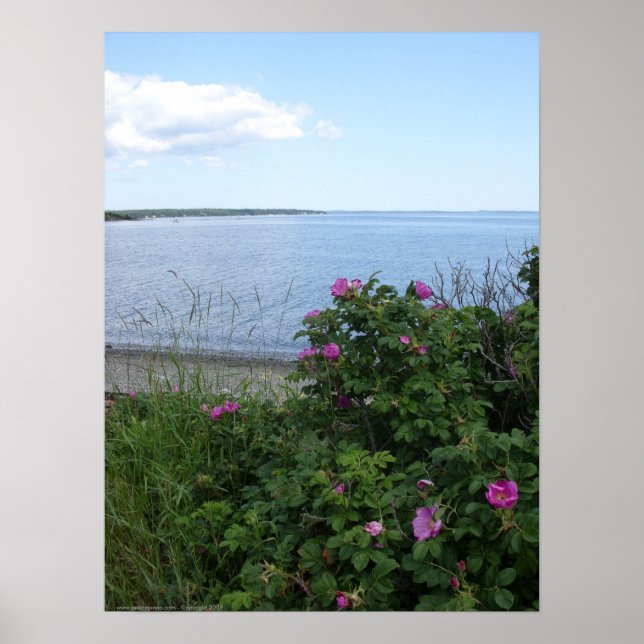 Póster Marlboro Beach, Maine poster (Frente)