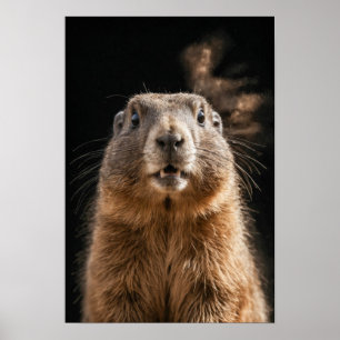 Póster Marmot Wild Animal Elegant Dramatic Mist Retrato