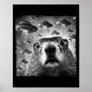 Póster Marmota Divertida Selfie Con Ovnis Alien Marmota D