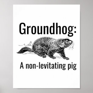 Póster Marmota Un Cerdo No Levitante Chiste Divertido