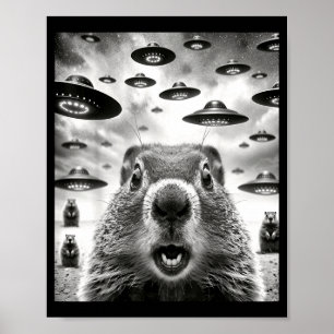 Póster Marmotas Raras Selfie Con Ovni Alien Divertido Sue