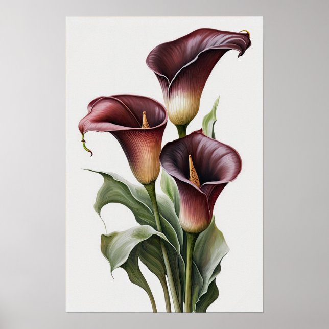 Póster Maroon Calla Lilies Lily Flor Art Print Poster (Frente)