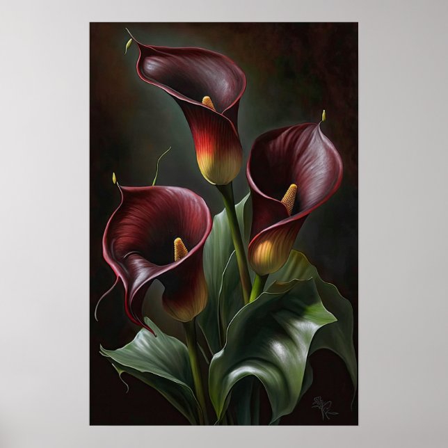 Póster Maroon Calla Lilies Lily Flor Art Print Poster (Frente)
