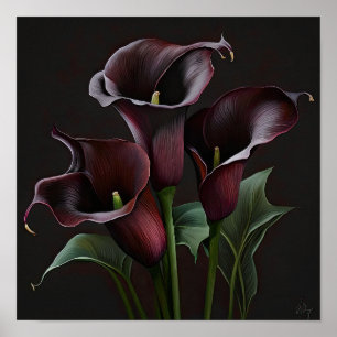 Póster Maroon Calla Lilies Lily Flor Art Print Poster