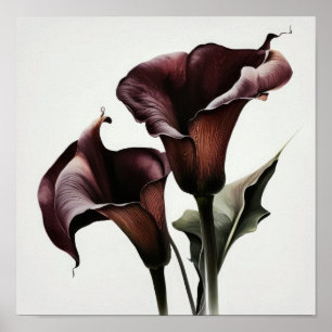 Póster Maroon Calla Lilies Lily Flor Art Print Poster