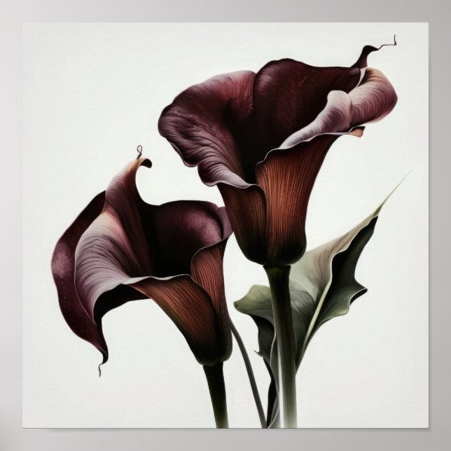 Póster Maroon Calla Lilies Lily Flor Art Print Poster (Frente)