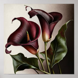 Póster Maroon Calla Lilies Lily Flor Art Print Poster