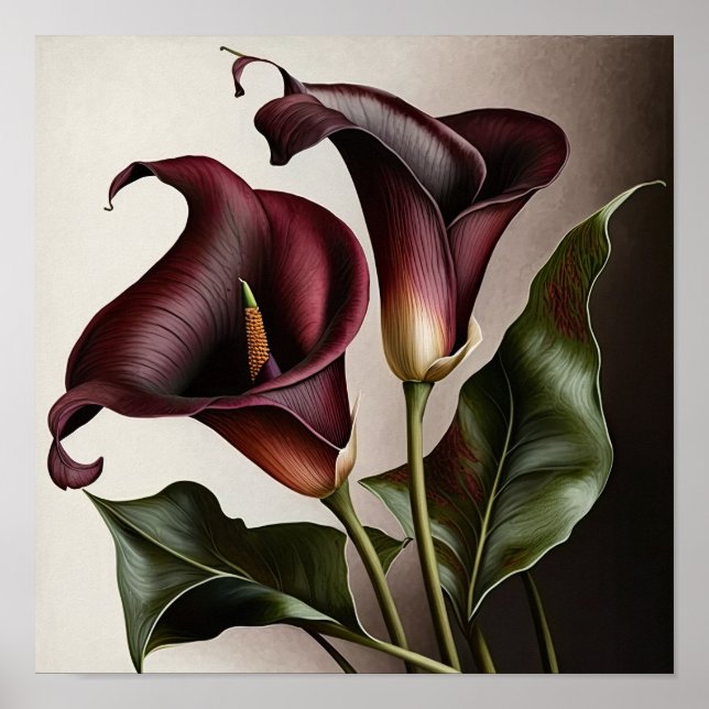 Póster Maroon Calla Lilies Lily Flor Art Print Poster (Frente)
