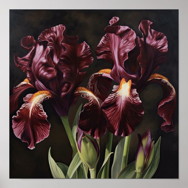 Póster Maroon Irises Flower Art Print Poster (Frente)