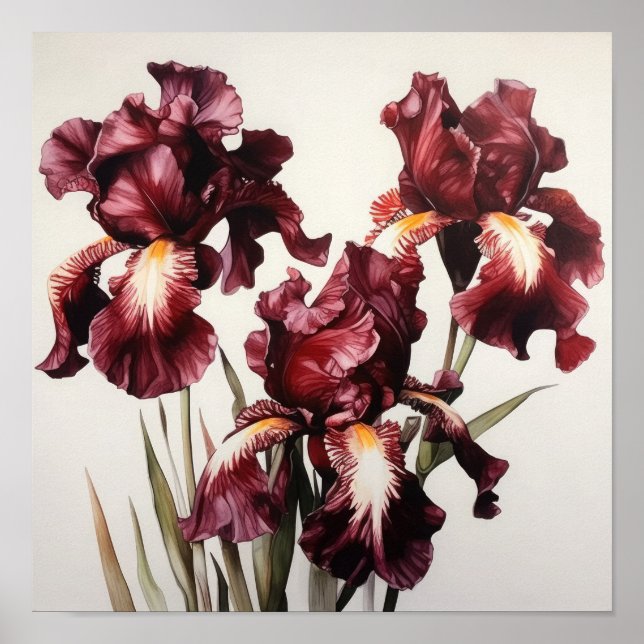 Póster Maroon Irises Flower Art Print Poster (Frente)