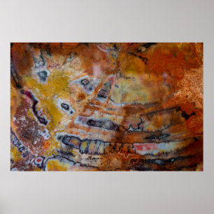 Póster Marrón de madera Petrificado