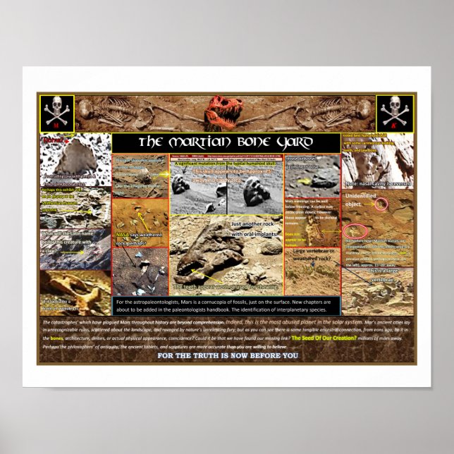 Póster Mar's Boneyard (Frente)