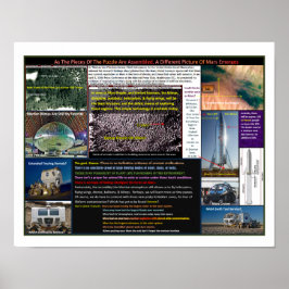 Póster Mar's Forests