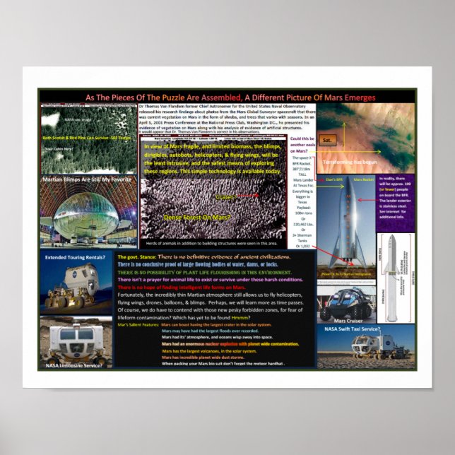 Póster Mar's Forests (Frente)