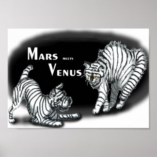 Póster Mars se encuentra con Venus