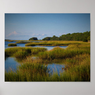 Póster Marsh