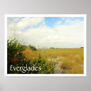 Póster Marsh en el Parque Nacional Everglades, Florida