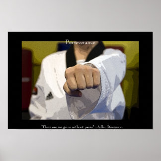 Póster Martial Arts Middle Punch