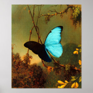 Póster Martin Johnson Heade Blue Morpho Butterfly