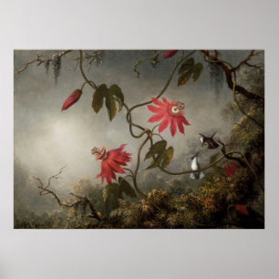 Póster Martin Johnson Heade - Flores de pasión y barranqu