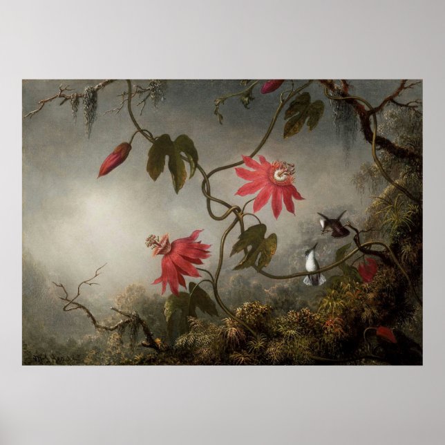 Póster Martin Johnson Heade - Flores de pasión y barranqu (Frente)