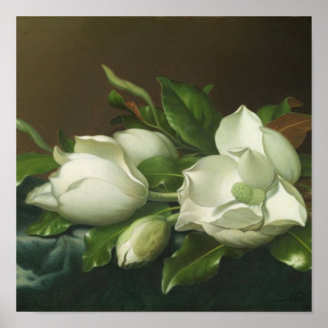 Póster Martin Johnson Heade - Magnolias (Frente)