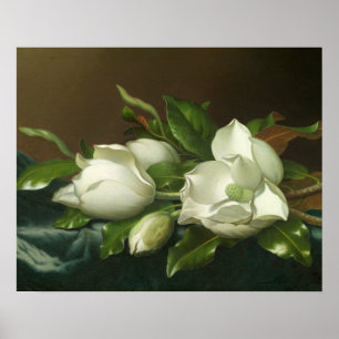 Póster Martin Johnson Heade - Magnolias en azul claro