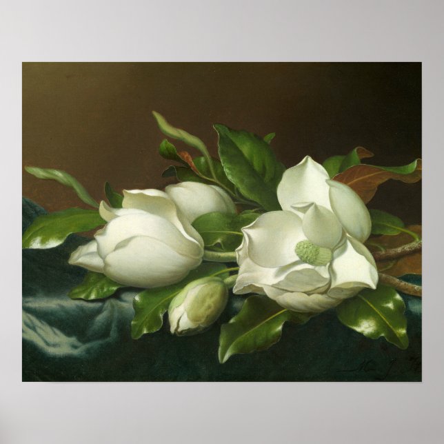 Póster Martin Johnson Heade - Magnolias en azul claro (Frente)