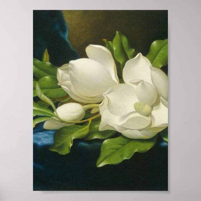 Póster Martin Johnson Heade - Magnolias gigantes (Frente)