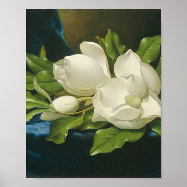 Póster Martin Johnson Heade - Magnolias gigantes (Frente)