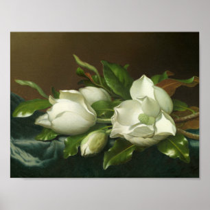Póster Martin Johnson Heade - Magnolias on Light Blue