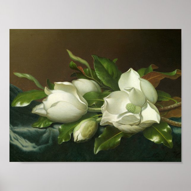 Póster Martin Johnson Heade - Magnolias on Light Blue (Frente)