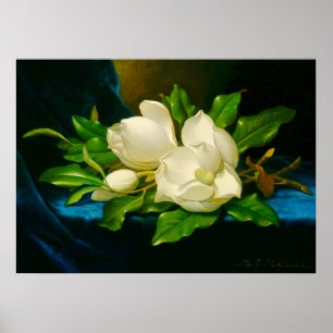 Póster Martin Johnson Heade - Magnolias sobre Velvet de O