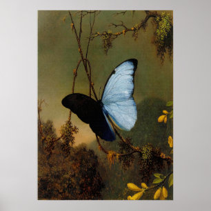 Póster Martin Johnson Heade - Mariposa Morpho Azul