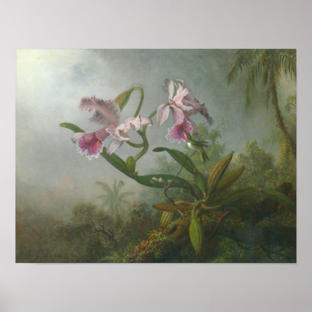 Póster Martin Johnson Heade_Orchid-hummingbird (Frente)