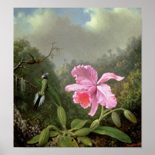 Póster Martin Johnson Heade Orchid Y Hummingbirds (Frente)