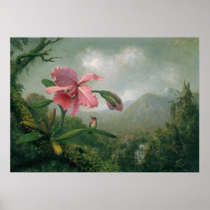 Póster Martin Johnson Heade - Orquídea con dos colibríes